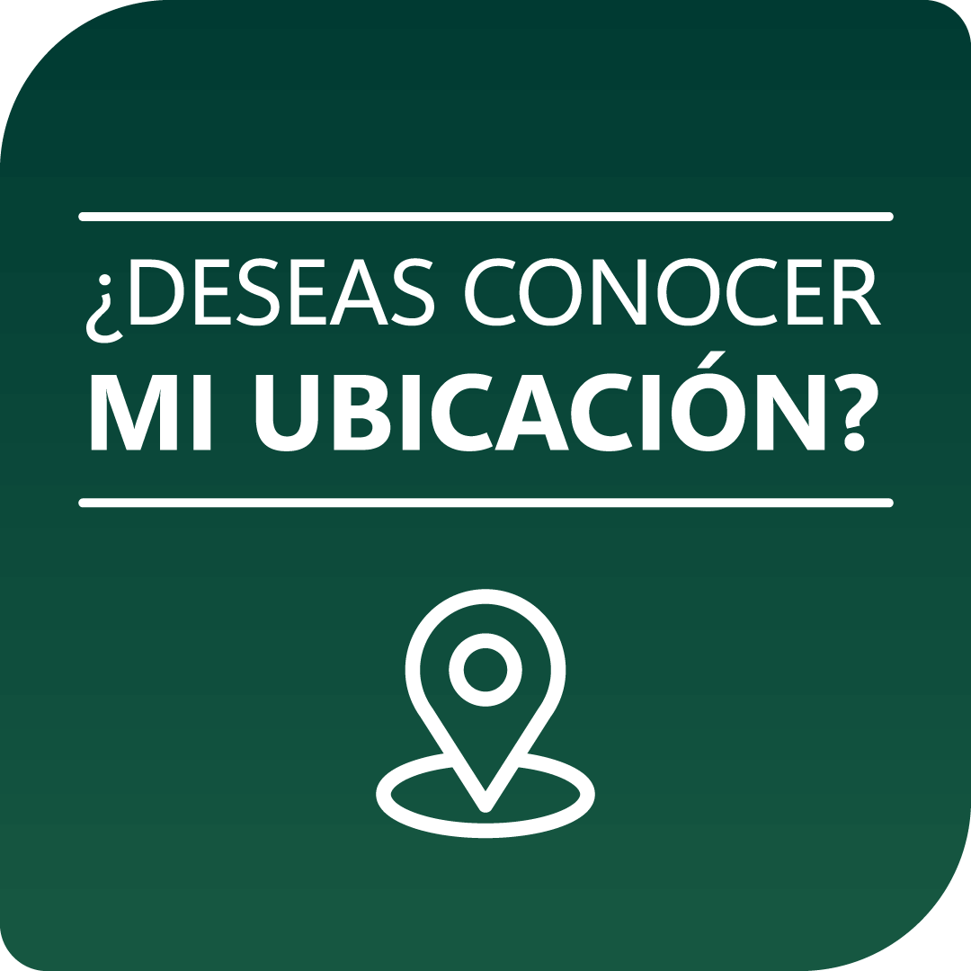 Imagen Original